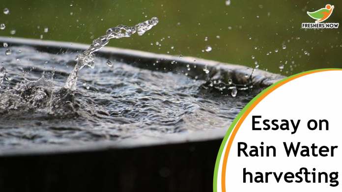 write an essay about rain water