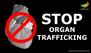 Stop Organ Trafficking