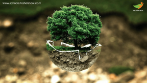 Environment Tree Image