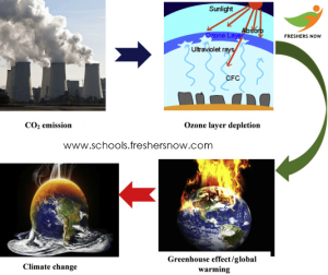 Cycle of Global Warming and Greenhouse Gas Emissions: