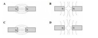 CBSE Class12 Physics Magnetism and Matter (23Q)